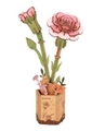 WOODEN BLOOM KIT - PINK CARNATION-construction-models-craft-The Games Shop