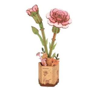 WOODEN BLOOM KIT - PINK CARNATION