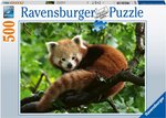 Ravensburger - 500 Piece - Cute Red Panda-jigsaws-The Games Shop