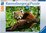 Ravensburger - 500 Piece - Cute Red Panda