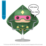 Pop Vinyl - DC - Kite Man