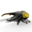 Eugy - Hercules Beetle