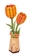 Wooden Bloom Kit - Orange Tulip