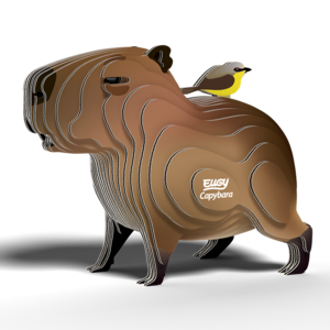 Eugy - Capybara