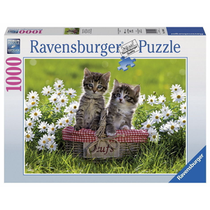 Ravensburger - 1000 piece - Picnic in the Meadow