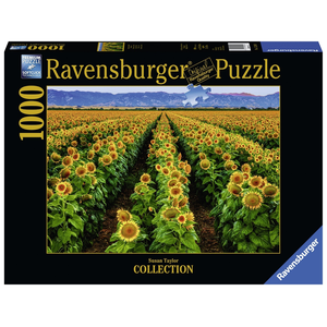 Ravensburger - 1000 piece International -  Fields of Gold