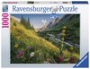 Ravensburger - 1000 Piece - Magical Valley-jigsaws-The Games Shop