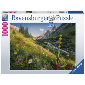 Ravensburger - 1000 Piece - Magical Valley