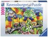 Ravensburger - 1000 piece - Land of the Lorikeet-jigsaws-The Games Shop