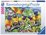 Ravensburger - 1000 piece - Land of the Lorikeet