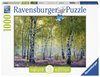 Ravensburger - 1000 Piece Nature - Birch Forest-jigsaws-The Games Shop