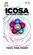 Icosa Ice - Atomic Fidget  Ball 